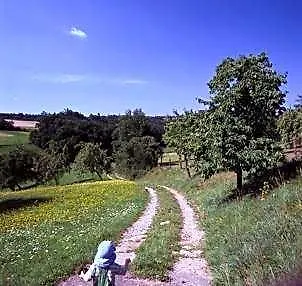 Landgasthof Fiedler فندق